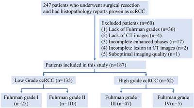 Multi-phase-combined CECT radiomics models for Fuhrman grade prediction of clear cell renal cell carcinoma